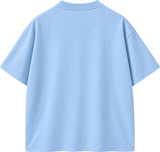 A light blue short-sleeve crewneck t-shirt shown from the back, photographed against a solid white background.